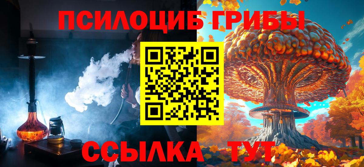 Чебоксары  Галлюциногенные грибы MAGIC MUSHROOMS  Вход с VPN 