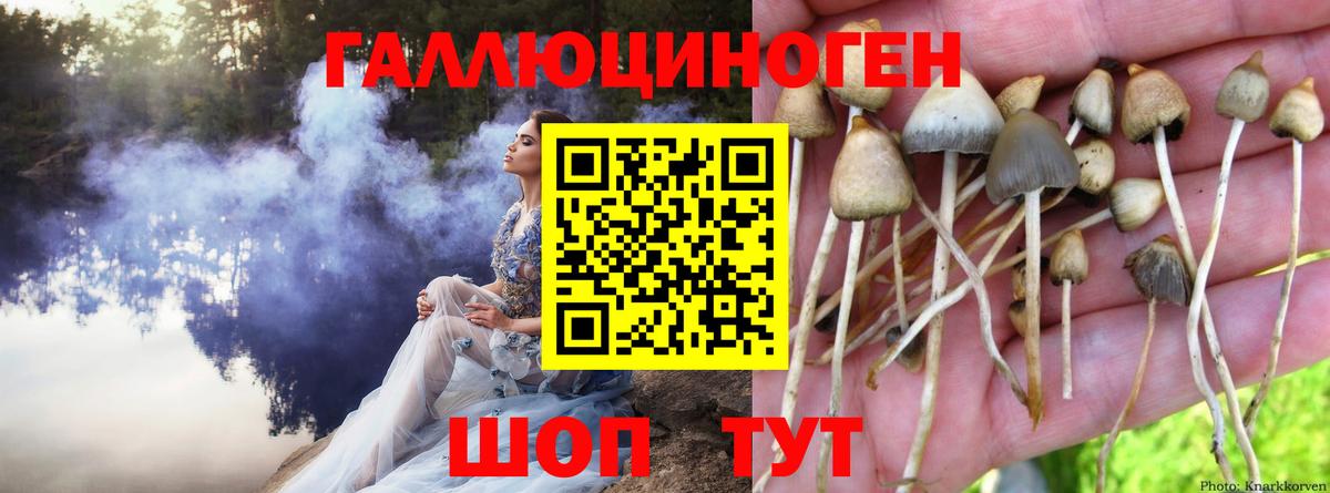 Галлюциногенные грибы прущие грибы Чебоксары